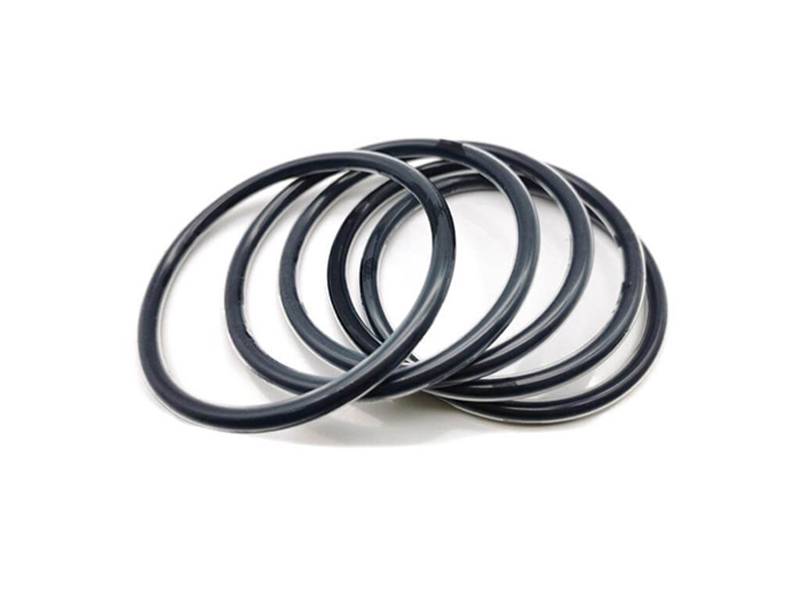 PTFE کپسوله O Ring